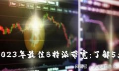 如何选择2023年最佳B特派带