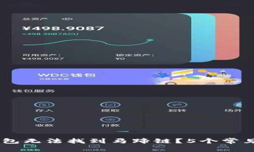 为何BK钱包无法找到马蹄链？5个常见原因解析