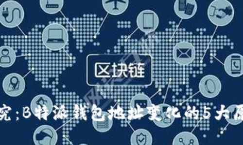 探究：B特派钱包地址变化的5大原因
