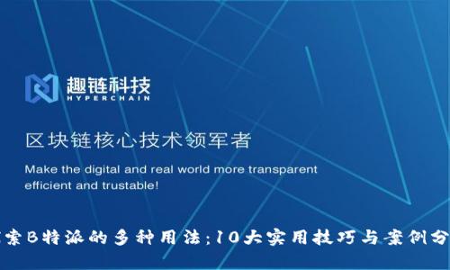 探索B特派的多种用法：10大实用技巧与案例分析