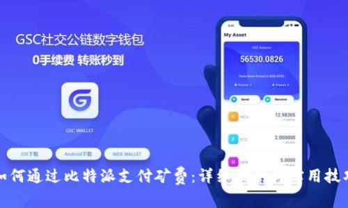 如何通过比特派支付矿费：详细指南与实用技巧