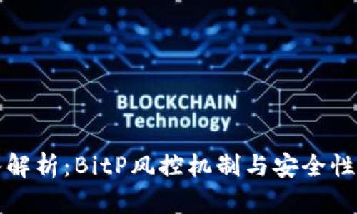 深入解析：BitP风控机制与安全性详解