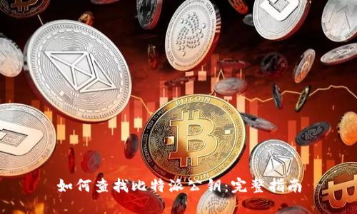 如何查找比特派公钥：完整指南