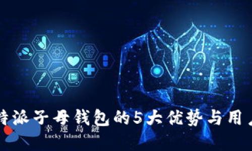 2023年B特派子母钱包的5大优势与用户体验详解