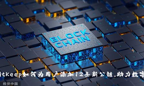 2023年BitKeep如何为用户添加12条新公链，助力数字资产管理