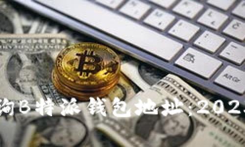 如何有效查询B特派钱包地址：2023年最全指南