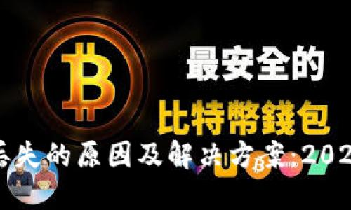 比特派钱包金额丢失的原因及解决方案：2023年用户必看指南