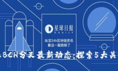 2023年B特派BCH分叉最新动态