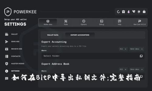 如何在BitP中导出私钥文件：完整指南
