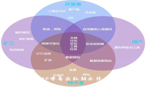 如何在BitP中导出私钥文件：完整指南