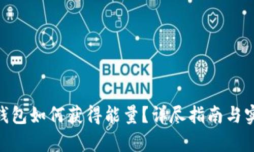 Bitpie钱包如何获得能量？详尽指南与实用技巧