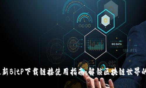 2023年最新BitP下载链接使用指南：解锁区块链世界的五个步骤