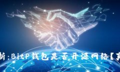 深入分析：BitP钱包是否开