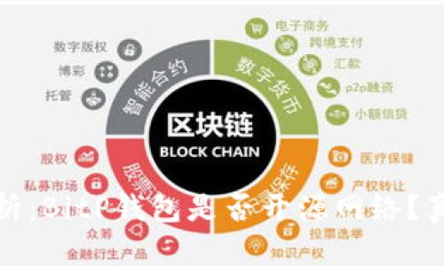深入分析：BitP钱包是否开源网络？真相揭秘