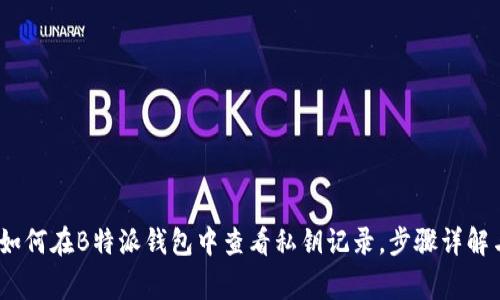 详细解读：如何在B特派钱包中查看私钥记录，步骤详解与注意事项