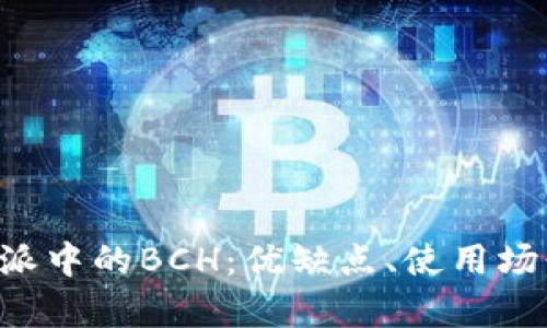 全面解析B特派中的BCH：优缺点、使用场景与发展前景