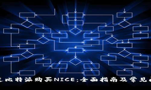 如何通过比特派购买NICE：全面指南及常见问题解答