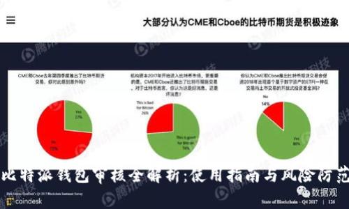 比特派钱包审核全解析：使用指南与风险防范