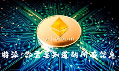 解读B特派：你需要知道的所有信息与记录