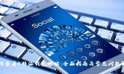 如何查看B特派钱包地址：全面指南与常见问题解答