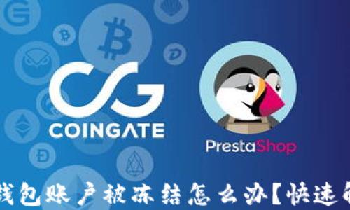 
虚拟冷钱包账户被冻结怎么办？快速解决指南