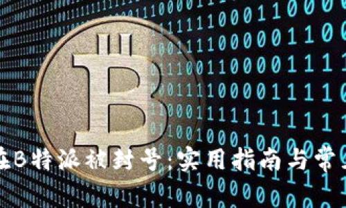 如何防止在B特派被封号：实用指南与常见问题解答