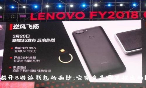 揭开B特派钱包的面纱：它究竟是哪里推出的？