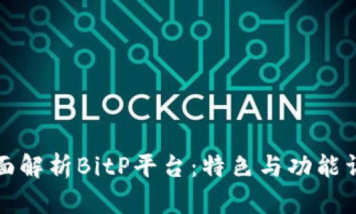 全面解析BitP平台：特色与功能详解