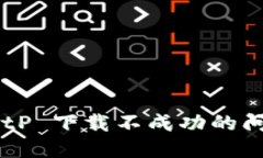 如何解决 BitP 下载不成功