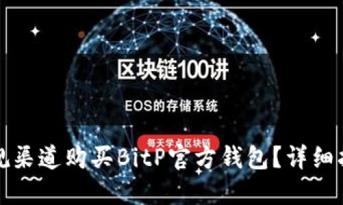 如何在正规渠道购买BitP官方钱包？详细指南与技巧