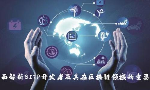 全面解析BITP开发者及其在区块链领域的重要性
