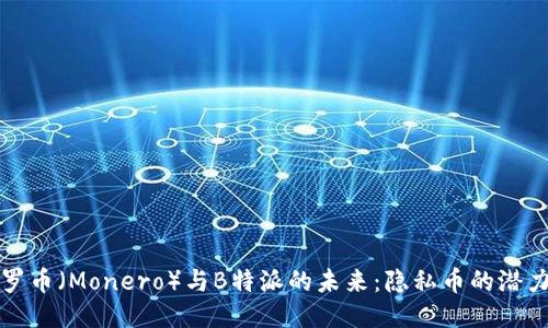 探秘门罗币（Monero）与B特派的未来：隐私币的潜力与应用