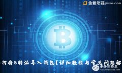如何将B特派导入钱包？详