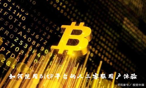 如何使用BitP平台的人工客服用户体验