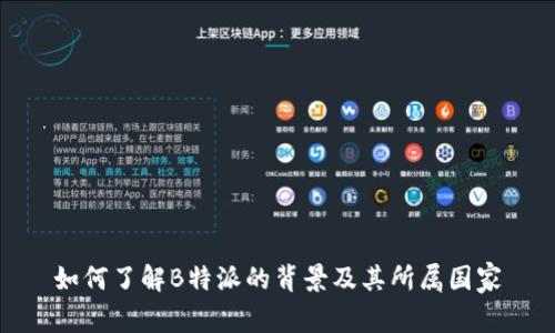 如何了解B特派的背景及其所属国家
