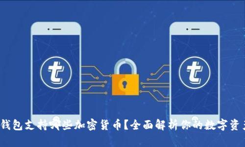 b特派钱包支持哪些加密货币？全面解析你的数字资产选择