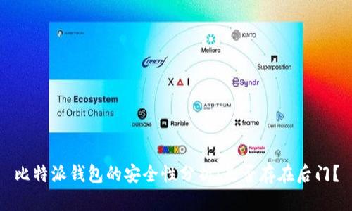 比特派钱包的安全性分析：是否存在后门？