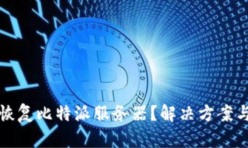 如何有效恢复比特派服务器？解决方案与步骤详解