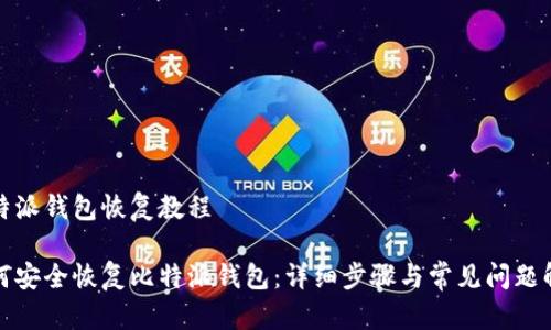 比特派钱包恢复教程

如何安全恢复比特派钱包：详细步骤与常见问题解答