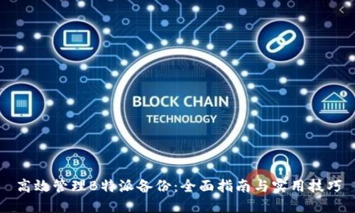 高效管理B特派备份：全面指南与实用技巧