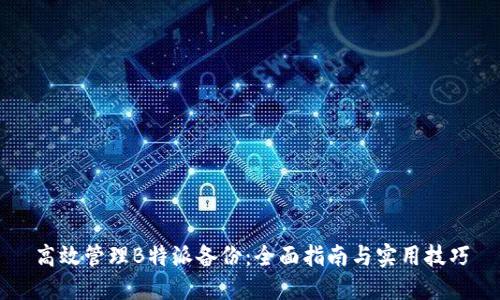 高效管理B特派备份：全面指南与实用技巧