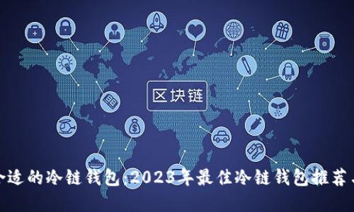 选择合适的冷链钱包：2023年最佳冷链钱包推荐与评测