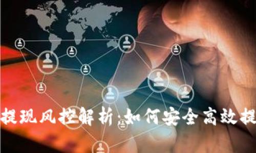 比特派提现风控解析：如何安全高效提取资金