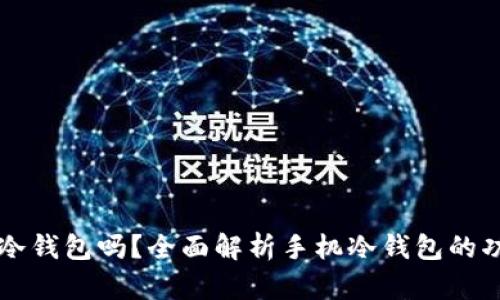 手机能下载冷钱包吗？全面解析手机冷钱包的功能与安全性