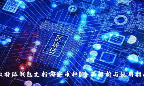 比特派钱包支持哪些币种？全面解析与使用指南