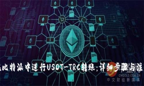 如何在比特派中进行USDT-TRC转账：详细步骤与注意事项