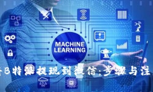 如何将B特派提现到微信：步骤与注意事项