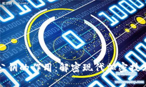 私钥和公钥的作用：解密现代加密技术的奥秘