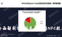 全面解析B特派是否支持