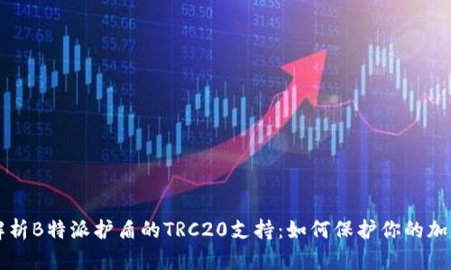 深度解析B特派护盾的TRC20支持：如何保护你的加密资产